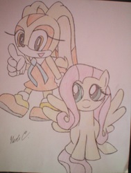 Size: 901x1191 | Tagged: safe, artist:xxfiery666xx, fluttershy, g4, cream the rabbit, crossover, photo, sonic the hedgehog (series), traditional art