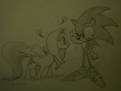 Size: 3648x2736 | Tagged: safe, artist:drawing-elite-9, fluttershy, g4, crossover, high res, male, photo, sonic the hedgehog, sonic the hedgehog (series), traditional art