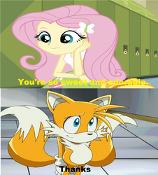 Size: 1284x1420 | Tagged: safe, screencap, fluttershy, equestria girls, g4, copy and paste, crossover, fluttertails, image macro, male, meme, miles "tails" prower, sonic the hedgehog (series), sonic x