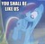 Size: 371x362 | Tagged: safe, edit, edited screencap, screencap, rainbow dash, pegasus, pony, g4, my little pony: friendship is magic, the cutie map, caption, doctor who, equal cutie mark, female, image macro, mare, meme, reference, roflbot, tomb of the cybermen