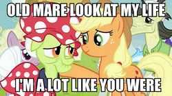 Size: 999x559 | Tagged: safe, applejack, granny smith, g4, image macro, meme, neil young, old man, song reference