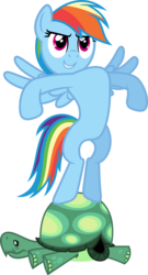 Size: 1933x3572 | Tagged: safe, artist:porygon2z, rainbow dash, tank, pegasus, pony, tortoise, g4, may the best pet win, backwards, bipedal, duo, puffed chest, simple background, transparent background, vector