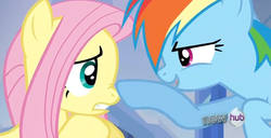 Size: 849x434 | Tagged: safe, screencap, fluttershy, rainbow dash, g4, boop