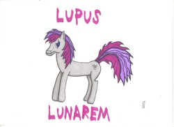 Size: 2340x1700 | Tagged: safe, artist:lupus lunarem, oc, oc only, oc:lupus lunarem, scar, solo, traditional art