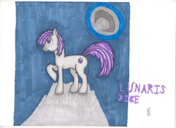 Size: 2340x1700 | Tagged: safe, artist:lupus lunarem, oc, oc only, oc:lunaris dice, moon, night, solo, traditional art