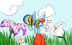 Size: 1440x900 | Tagged: safe, artist:martinhello, rainbow dash, g4, bee costume, clothes, female, solo, speech bubble