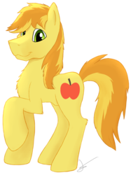 Size: 1171x1562 | Tagged: safe, artist:crusierpl, braeburn, pony, g4, chest fluff, male, simple background, solo, transparent background