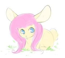 Size: 703x622 | Tagged: safe, artist:pegacornss, fluttershy, rabbit, g4, :<, big ears, bunnified, bunnyshy, cute, female, looking at you, prone, solo, species swap, weapons-grade cute