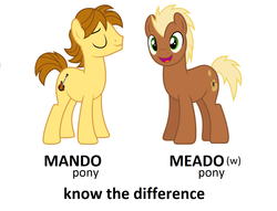 Size: 1184x904 | Tagged: safe, mandopony, meadow song, oc, g4, image macro, know the difference, meme