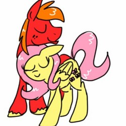 Size: 640x640 | Tagged: safe, artist:doodlepony22, big macintosh, fluttershy, earth pony, pony, g4, eyes closed, male, ship:fluttermac, shipping, stallion, straight