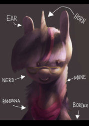 Size: 927x1303 | Tagged: dead source, safe, artist:berrydrops, twilight sparkle, pony, unicorn, g4, bandana, bust, female, glasses, label, mare, solo