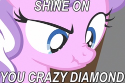 Size: 750x500 | Tagged: safe, screencap, diamond tiara, g4, ponyville confidential, caption, close-up, female, image macro, nose wrinkle, pink floyd, scrunchy face, shine on you crazy diamond, solo, song, song reference