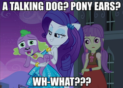 Size: 767x550 | Tagged: safe, edit, edited screencap, screencap, rarity, spike, starlight, dog, equestria girls, g4, my little pony equestria girls, background human, caption, eco kid insults, image macro, meme, ponied up, spike the dog, text