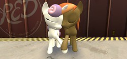 Size: 1280x600 | Tagged: safe, button mash, sweetie belle, g4, female, holding hooves, love, male, ship:sweetiemash, shipping, straight