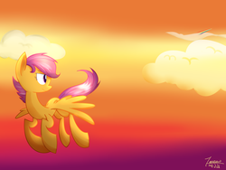 Size: 6000x4500 | Tagged: safe, artist:yaco, scootaloo, pegasus, pony, g4, absurd resolution, cloud, flying, scootaloo can fly, sky