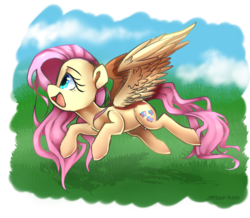 Size: 1950x1700 | Tagged: safe, artist:meotashie, fluttershy, pegasus, pony, g4, cute, female, flying, grass, looking up, mare, open mouth, shyabetes, solo, spread wings, wings