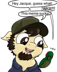 Size: 637x800 | Tagged: safe, artist:kill joy, edit, parrot, jontron, meme, solo