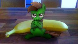Size: 960x542 | Tagged: safe, artist:fandroit, oc, oc only, oc:fandroit, banana, irl, micro, photo, ponies in real life, pouting, solo