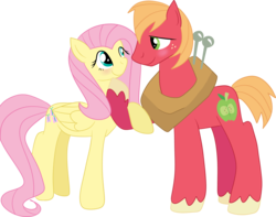 Size: 3908x3079 | Tagged: safe, artist:melodytheunicorn, big macintosh, fluttershy, earth pony, pony, g4, blushing, high res, holding hooves, male, ship:fluttermac, shipping, stallion, straight