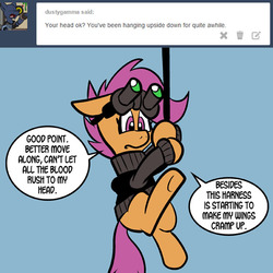 Size: 576x576 | Tagged: safe, artist:pembroke, scootaloo, g4, ask, female, solo, stalkerloo, stalkerloo lite, tumblr