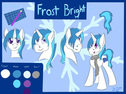 Size: 4000x3000 | Tagged: safe, artist:frostyb, oc, oc only, oc:frost bright, pony, clothes, cute, male, reference sheet, scarf, stallion