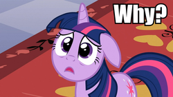 Size: 960x540 | Tagged: safe, edit, edited screencap, screencap, twilight sparkle, g4, female, image macro, meme, solo, why