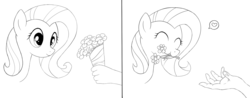 Size: 2000x783 | Tagged: safe, artist:kas92, fluttershy, human, g4, bouquet, disembodied hand, flower, herbivore, horses doing horse things, monochrome
