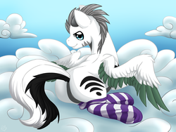 Size: 4000x3000 | Tagged: safe, artist:nothingspecialx9, oc, oc only, oc:kaouk, pegasus, pony, butt, clothes, cloud, cloudy, colored wings, colored wingtips, featureless crotch, plot, raised tail, socks, solo, striped socks, wingboner, wings