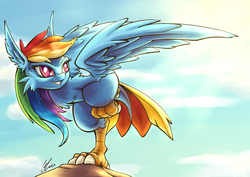 Size: 2046x1447 | Tagged: safe, artist:lovelyneckbeard, part of a set, rainbow dash, harpy, monster girl, monster pony, g4, female, harpydash, solo, species swap, tail feathers