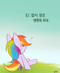 Size: 1000x1200 | Tagged: safe, artist:joycall6, rainbow dash, g4, female, korean, solo, translated in the comments