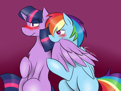 Size: 1024x768 | Tagged: safe, artist:katrittaja, rainbow dash, twilight sparkle, alicorn, pegasus, pony, g4, biting, blushing, female, lesbian, mare, preening, ship:twidash, shipping, teasing, twilight sparkle (alicorn), wing bite