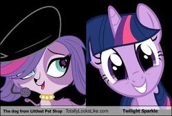 Size: 401x271 | Tagged: safe, twilight sparkle, g4, comparison, littlest pet shop, op is a slowpoke, slowpoke, text, totally looks like, zoe trent