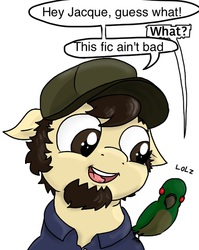 Size: 445x558 | Tagged: safe, artist:kill joy, parrot, pony, crossover, exploitable meme, fanfic, hat, jontron, meme, ponified, solo