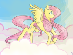 Size: 3264x2448 | Tagged: safe, artist:golebica, fluttershy, g4, cloud, cloudy, female, high res, solo