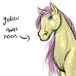 Size: 4000x4000 | Tagged: safe, fluttershy, g4, cute, female, hoers, realistic, shyabetes, sketch, solo, yellowquiet