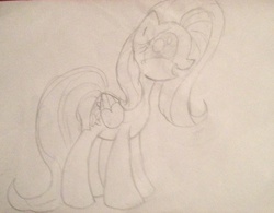 Size: 2026x1580 | Tagged: safe, fluttershy, g4, monochrome, traditional art