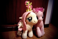 Size: 2074x1382 | Tagged: safe, fluttershy, pinkie pie, g4, irl, photo, plushie, ty