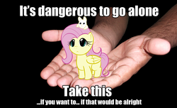 Size: 964x587 | Tagged: artist needed, safe, fluttershy, human, rabbit, g4, chibi, cute, female, hand, image macro, it's dangerous to go alone, meme, shyabetes, solo, take this, the legend of zelda