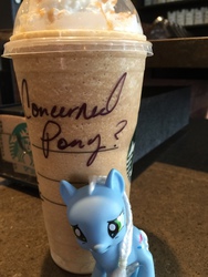 Size: 960x1280 | Tagged: safe, earth pony, pony, bootleg, concerned pony, irl, photo, solo, starbucks, toy