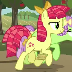 Size: 264x266 | Tagged: safe, screencap, auntie applesauce, candy twirl, earth pony, pony, apple family reunion, g4, apple family member, background pony, bow, cropped, duo, female, hair bow, mare, ringlets, running, seven-legged race, young auntie applesauce, younger