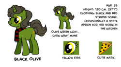 Size: 2700x1500 | Tagged: safe, artist:flyingbrickanimation, oc, oc only, oc:black olive, pony, unicorn, clothes, cutie mark, female, mare, pizza, reference sheet, scarf, smiling