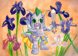 Size: 3446x2496 | Tagged: safe, artist:kelseyleah, spike, g4, armor, flower, high res, iris (flower), male, solo, sword, traditional art