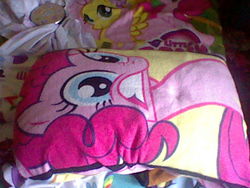 Size: 640x480 | Tagged: safe, fluttershy, pinkie pie, g4, irl, merchandise, photo, pillow