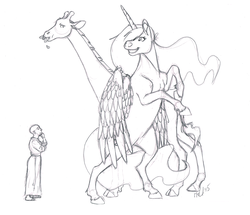 Size: 1292x1112 | Tagged: safe, artist:carnivorouscaribou, princess celestia, giraffe, human, pony, g4, bipedal, feather, giant pony, grin, happy, looking back, monochrome, preening, rearing, size difference, smiling, spread wings, squee, traditional art, unshorn fetlocks