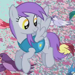 Size: 420x420 | Tagged: safe, screencap, flutter doo, bird, pegasus, pony, songbird, g4, winter wrap up, background pony, clothes, cropped, female, flock, flying, looking back, mare, migration, purple mane, recolor, smiling, solo, spread wings, vest, weather team, winter wrap up song (reprise), winter wrap up vest