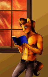 Size: 1280x2038 | Tagged: dead source, safe, artist:art-surgery, doctor horse, doctor stable, anthro, g4, book, clothes, male, muscles, reading, solo, topless, window