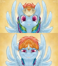 Size: 1920x2160 | Tagged: safe, artist:dimwitdog, edit, rainbow dash, g4, bedroom eyes, female, floppy ears, grin, lip bite, looking at you, mirrored, mischievous, smiling, solo, spread wings, unitinu, wat, wingboner
