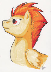 Size: 1464x2042 | Tagged: safe, artist:stormblaze-pegasus, spitfire, g4, bust, female, profile, solo, traditional art