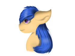 Size: 1024x768 | Tagged: safe, artist:phirestar, oc, oc only, pony, bust, portrait, side view, simple background, solo