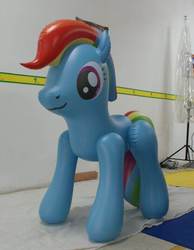 Size: 610x786 | Tagged: source needed, useless source url, safe, rainbow dash, earth pony, inflatable pony, pony, g4, bootleg, earth pony rainbow dash, hongyi, inflatable, inflatable dashie, inflatable earth pony, inflatable toy, irl, photo, pool toy, race swap, wingless